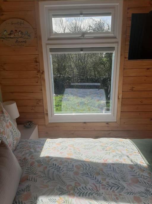 Anglesey New Modern Shepherds Hut With Spa Hot Tub Gwalchmai Bagian luar foto